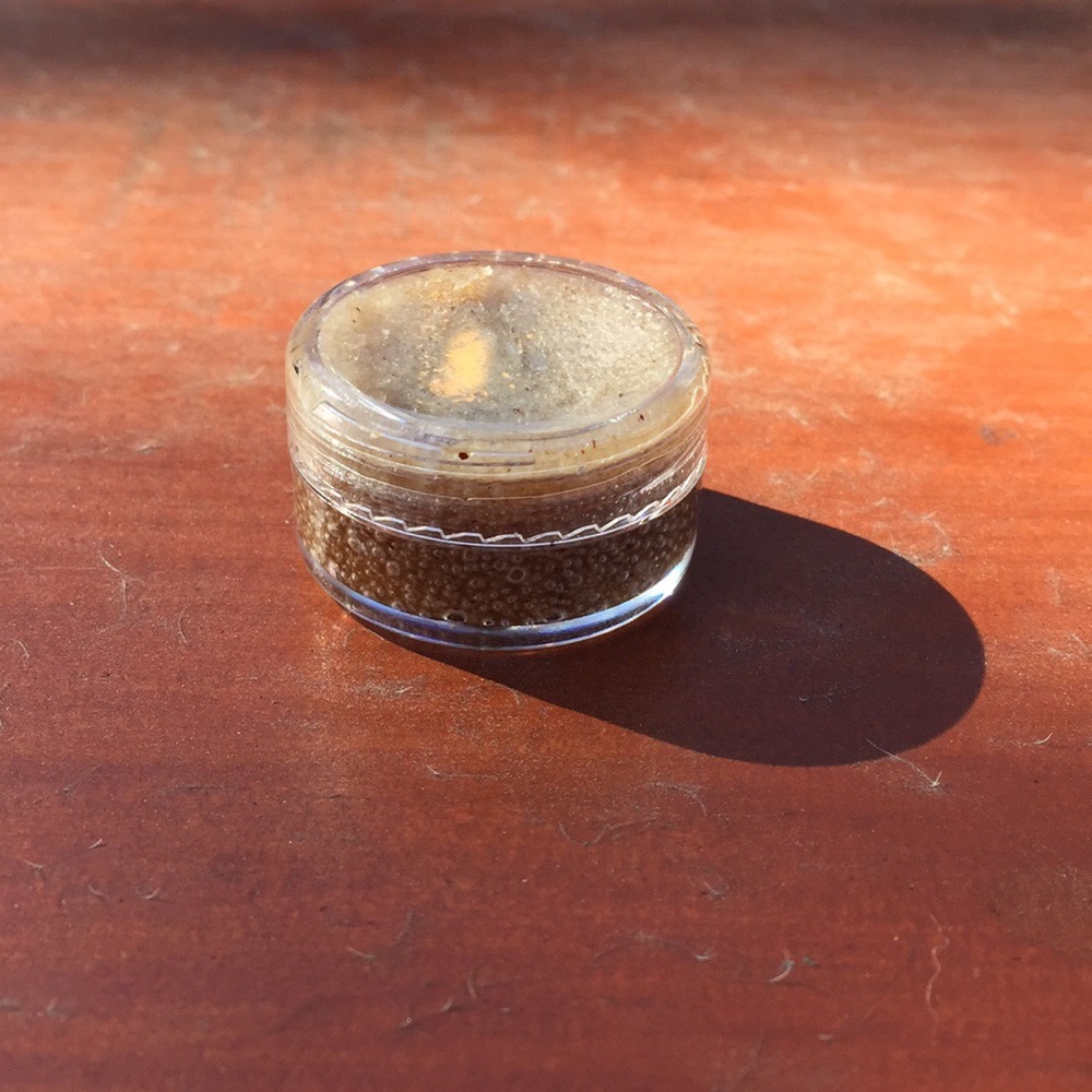 Lip Scrubs
